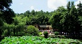 長(zhǎng)沙出發(fā)到花明樓、韶山、張家界國(guó)家森林公園、天門(mén)仙山國(guó)家森林公園四日游